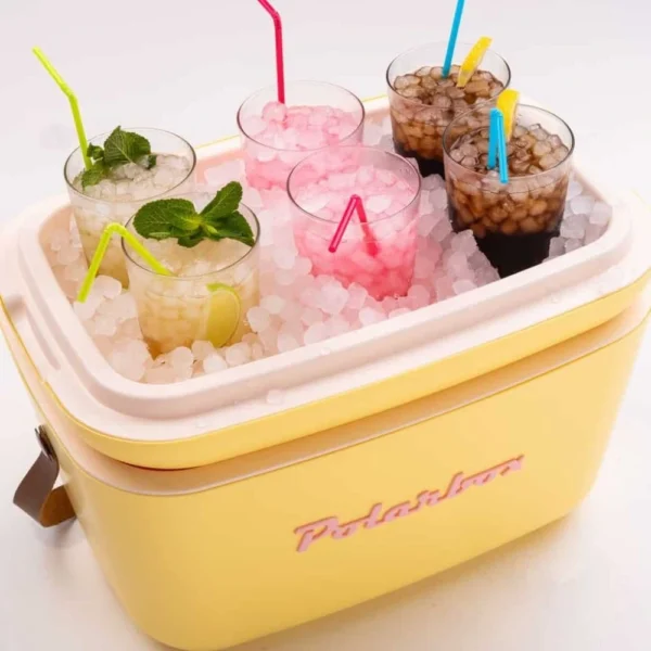 Šaltkrepšis  Polarbox 12L  celeste rosa pop - Image 8